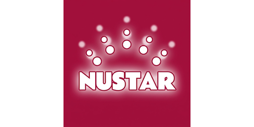 Nustar Online Maya Login Logo